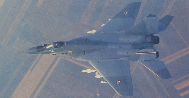jrvipvo_mig-29_114.jpg